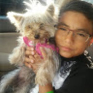 Meet your Posher, Sylvia